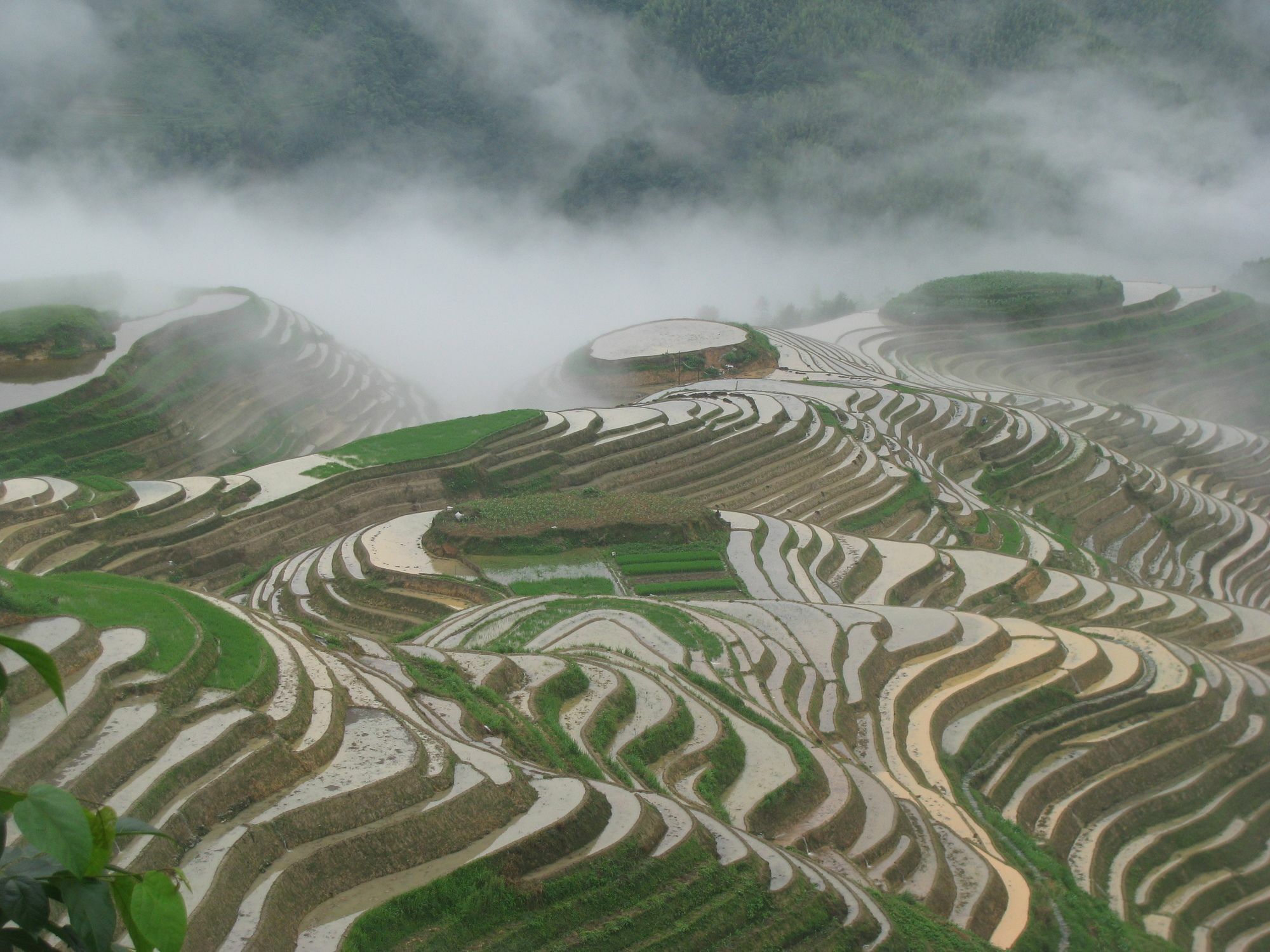 Yangshuo Mountain Nest Boutique Hotel Bagian luar foto